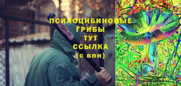 ГАЛЛЮЦИНОГЕННЫЕ ГРИБЫ Арсеньев