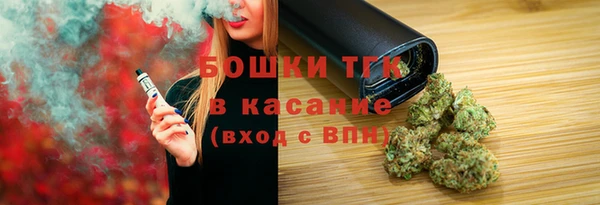 ГАЛЛЮЦИНОГЕННЫЕ ГРИБЫ Арсеньев