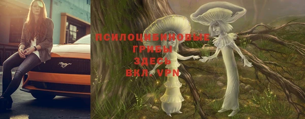 прущие крисы Аркадак
